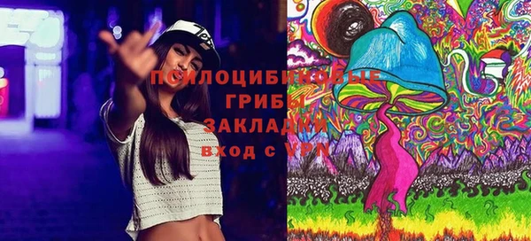 метадон Няндома