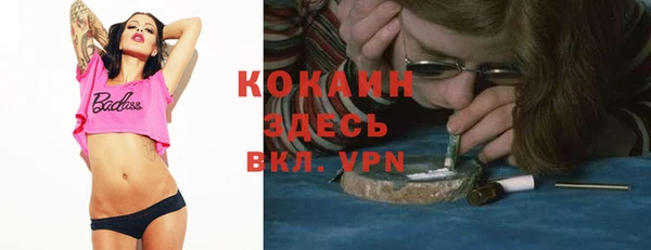 метадон Няндома
