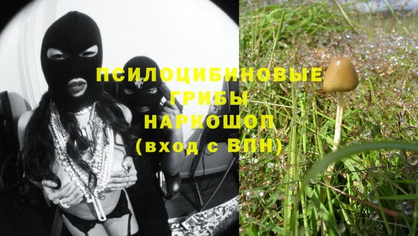 метадон Няндома