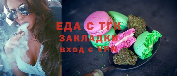 стаф Ельня