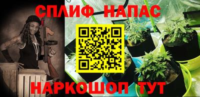 ECSTASY Камышлов
