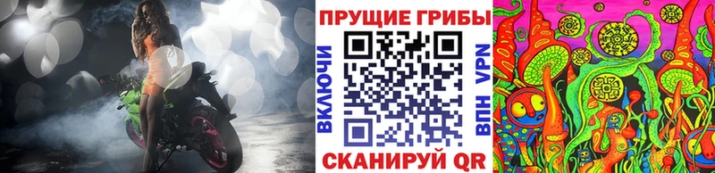 Галлюциногенные грибы GOLDEN TEACHER  Кстово 