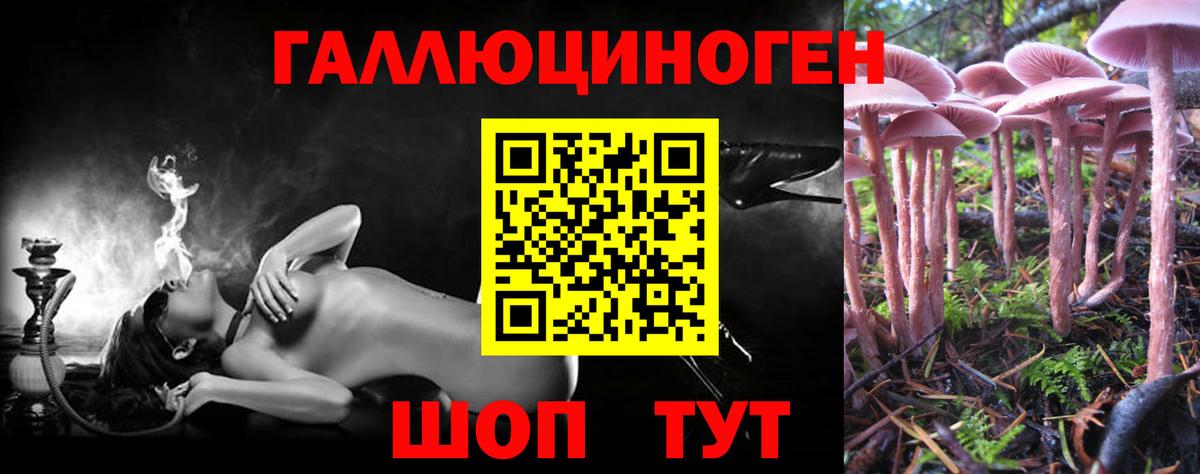 Псилоцибиновые грибы Cubensis  Вход с VPN  Кстово  Псилоцибиновые грибы ЛСД 