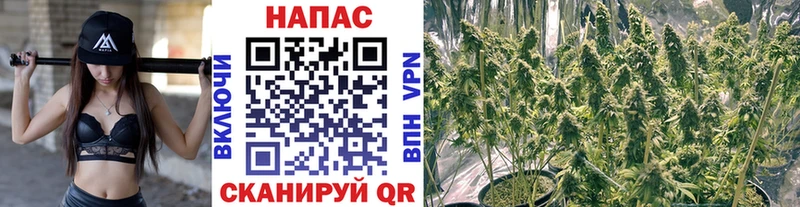 МЕГА как зайти  Кстово  Марихуана Bruce Banner 